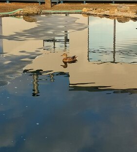 Стройка, ремонт, обустройство