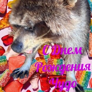 День рождения 