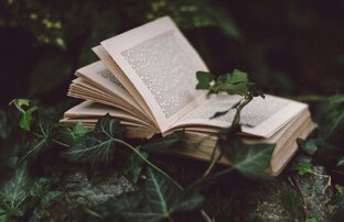 Фрагменты из моих книг 🍃