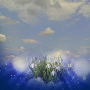 Стихи обо всём