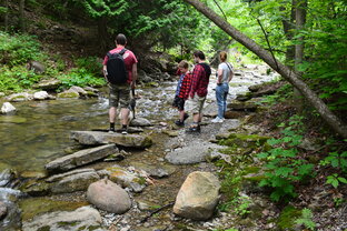 Про житье в Канадской сельской местности