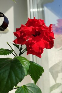 Разное 