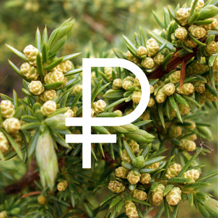 ДОСТАТОК💰