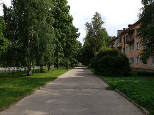 Карельская природа