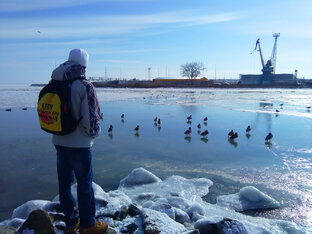 Поездки по Крыму