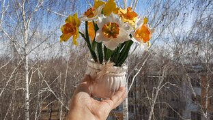 Цветы и букеты