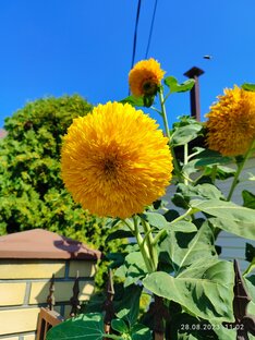 Семейные вопросы