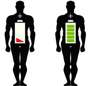 Автономный режим организма