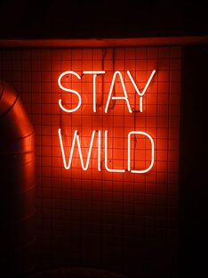 СТЕКЛЯННЫЙ НЕОН