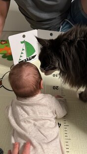 Люди и братья наши меньшие