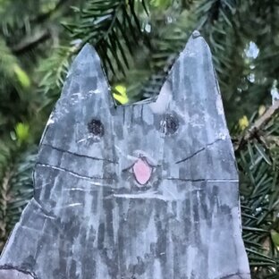 Видео из телеграма📨