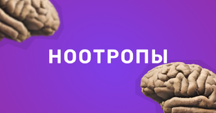Ноотропы
