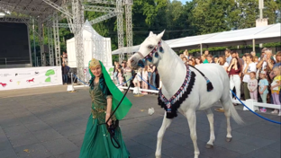 Лошади. Верховая езда. Конное шоу