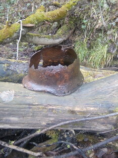 Поиск с металлодетектором 