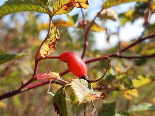 Фотоподборка