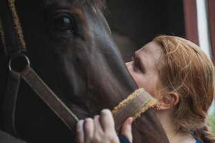 Уход за лошадью