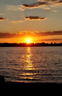 Мысли вслух 