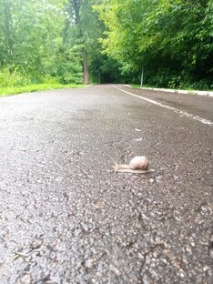 5Вëрст в Раменском