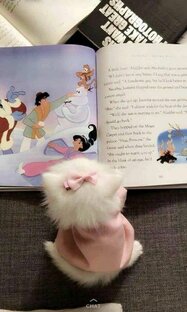 Истории на английском 