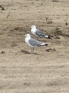 Азовское море 23