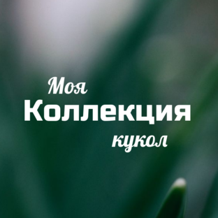 Моя коллекция