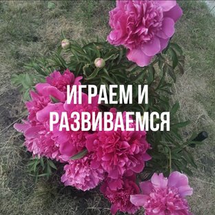 Как мы играем и развиваемся