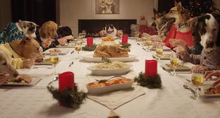 Кормление и рецепты для животных