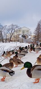 Юморочек под музончик 