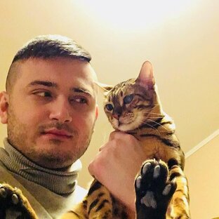 Клипы