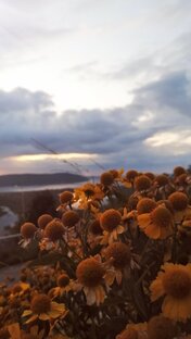 Красота, макияж