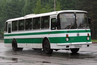 Автобусы 