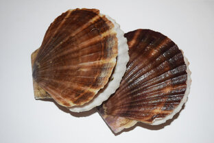 Морепродукты 