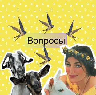 Ответы на ваши вопросы