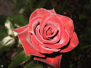 Мои произведения