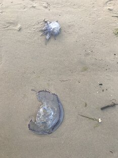 Путешествие по Краснодарскому краю