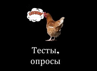 Тесты, опросы