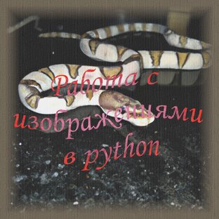 Работа с изображениями в python