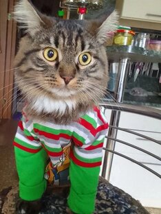 Симсик - мой младший ребёнок.