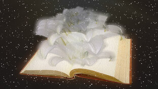 Психология