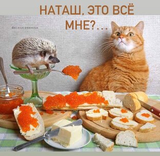 Вкусняшки!🥞🍳🍖