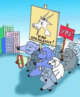 Конституция, поправки, выборы