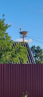 Ферма Симоновых