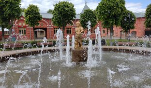 Подмосковье
