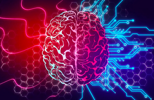 Про мозг 🧠