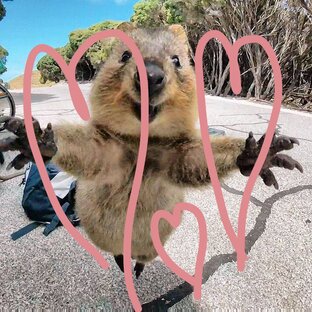 Милота🩷🩷🩷