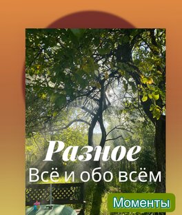 Всё и обо всём 🌄