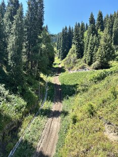 Mountain Heights and Cable Cars: Alpine Adventures and Tourism