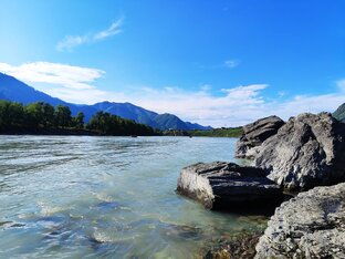 Ангелы всегда рядом