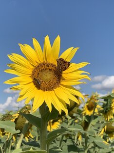 Моменты красоты