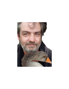 Хозяйство на даче 